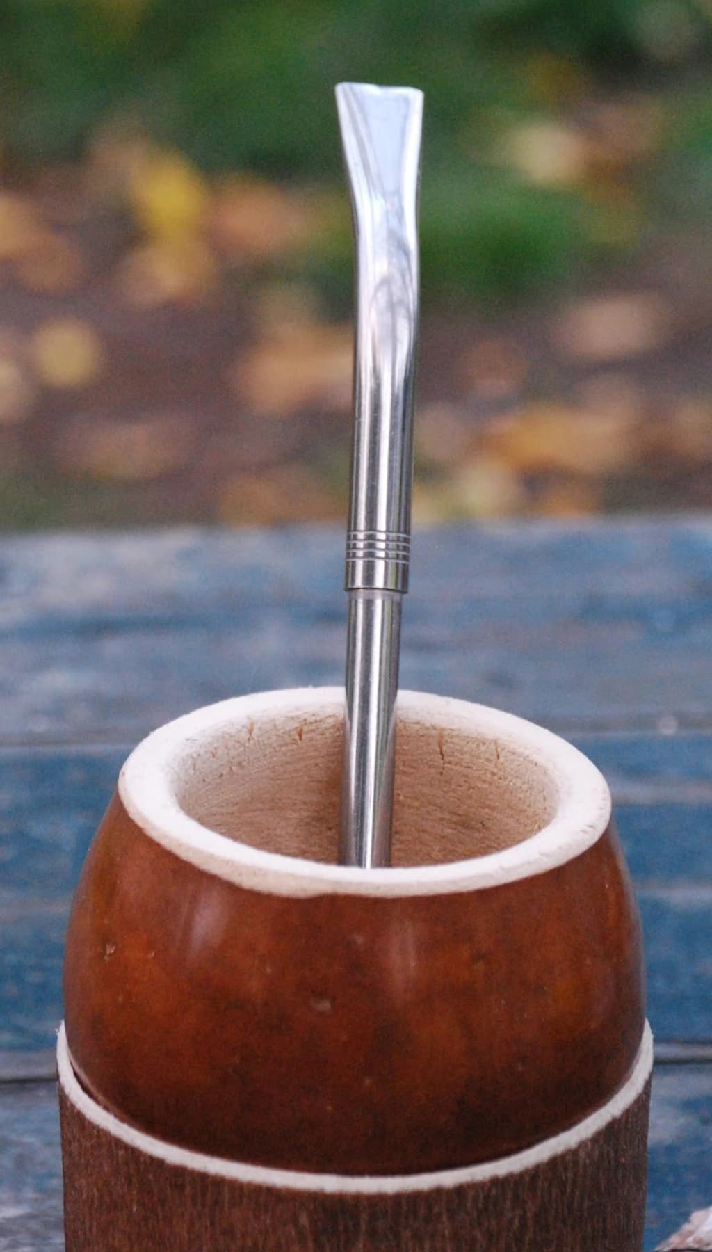 BOMBILLA PICO DE LORO, ACERO INOXIDABLE